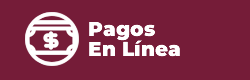 botón pagos en línea imtel